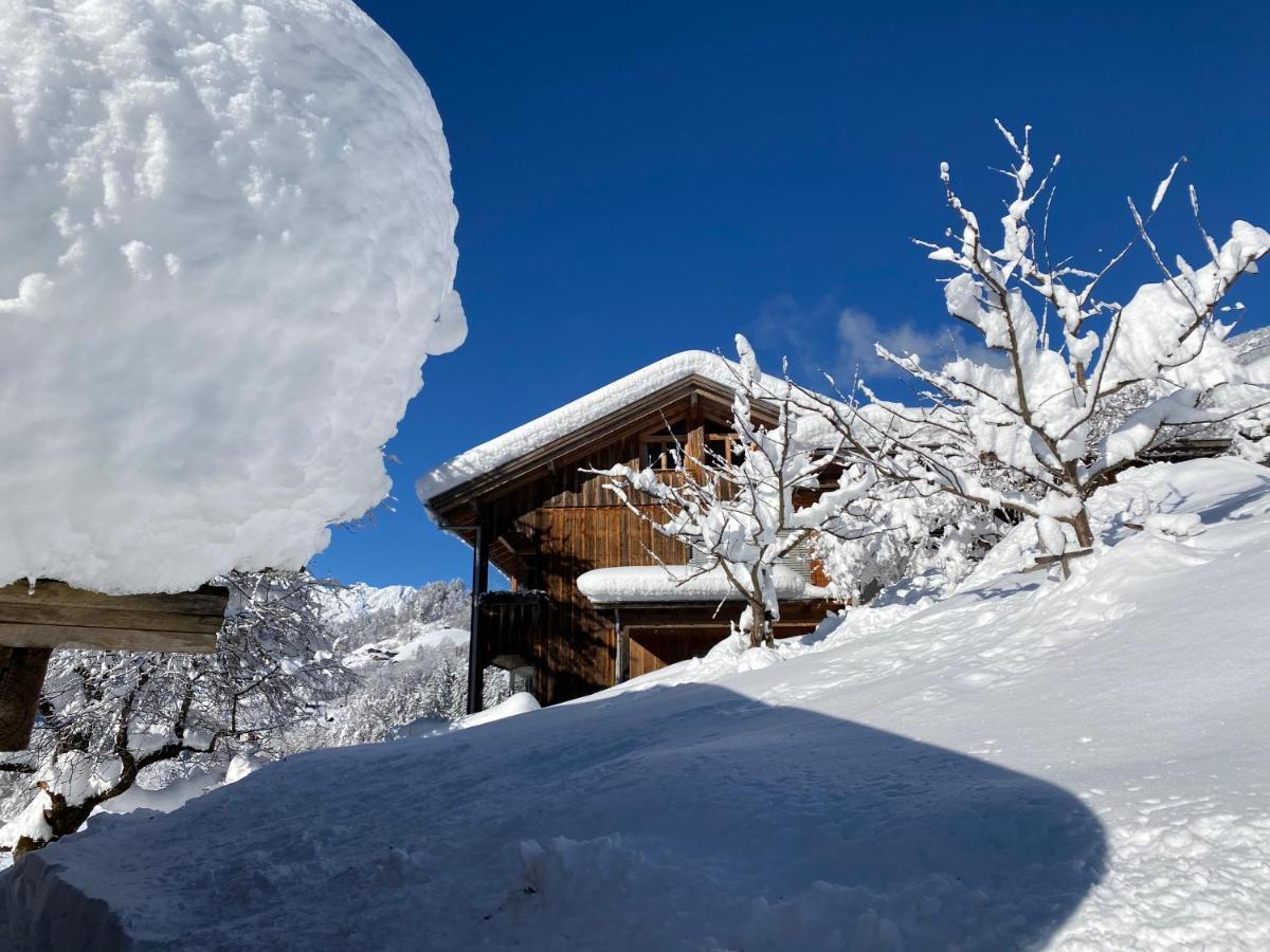 Chalet Christl Panorama Appartements Schruns Esterno foto